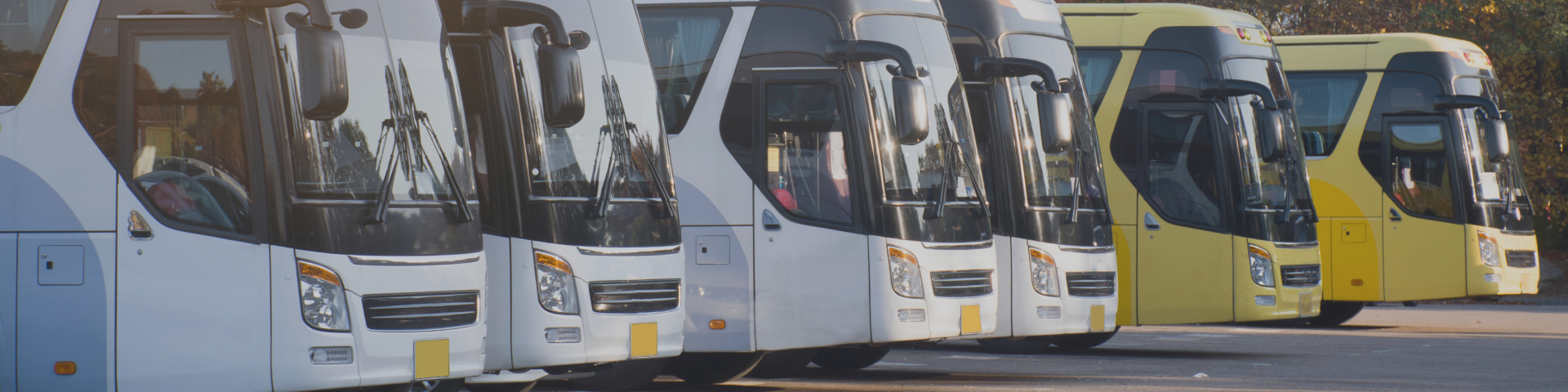 주안운수 차량정보 배경 이미지